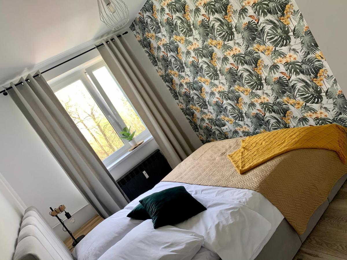 Apartament Forest Green Świeradów-Zdrój Екстериор снимка