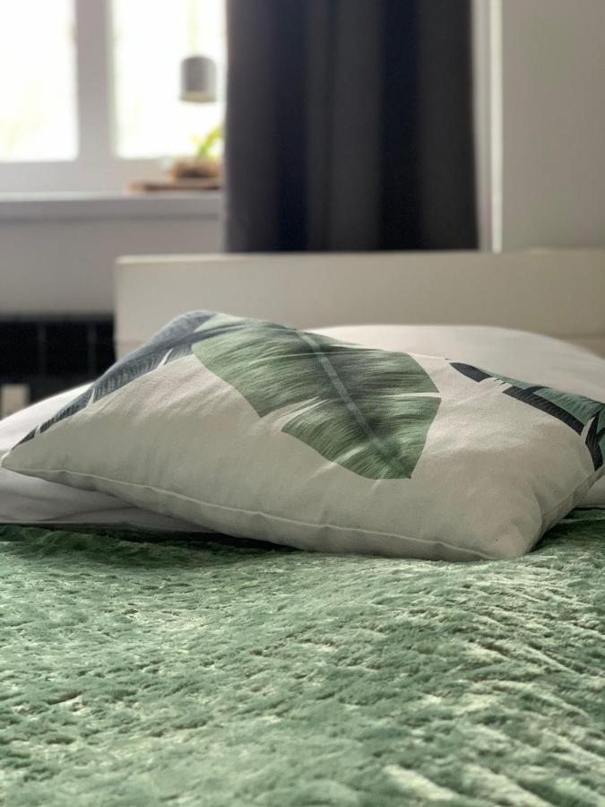 Apartament Forest Green Świeradów-Zdrój Екстериор снимка