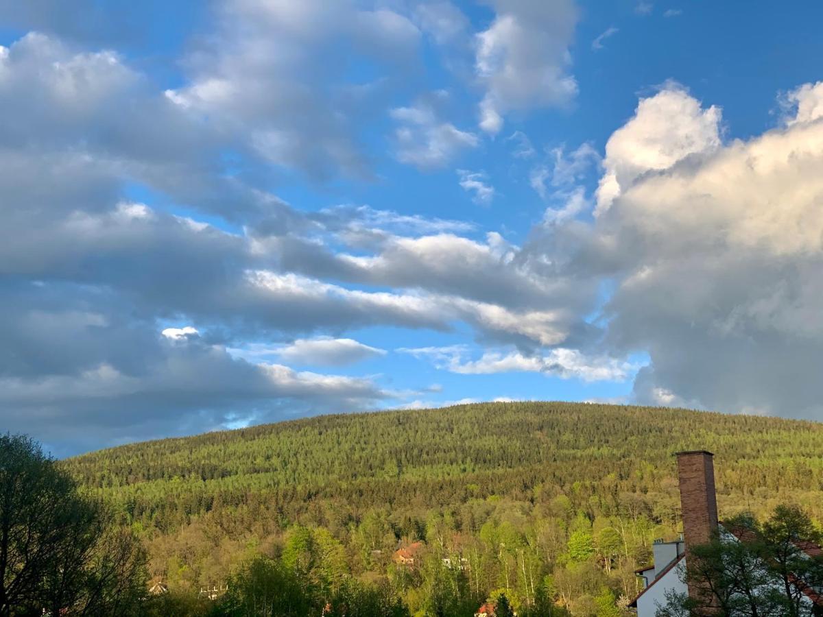 Apartament Forest Green Świeradów-Zdrój Екстериор снимка